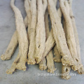 /msite/products/detail/productid/56948592/id/645581.html